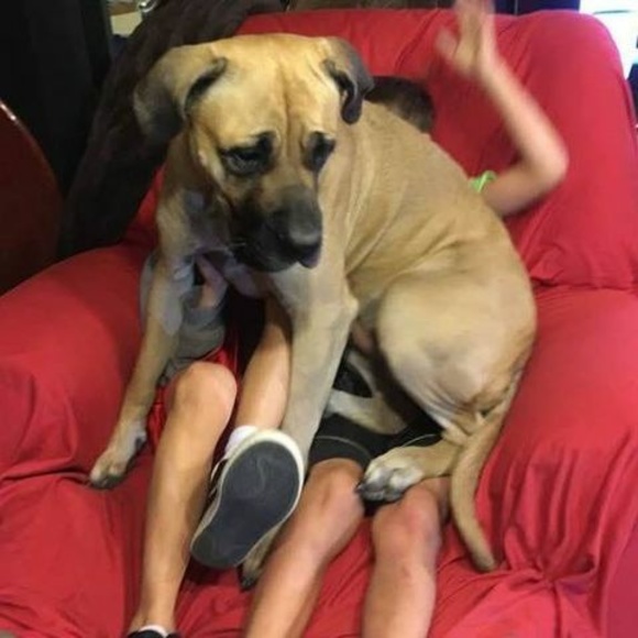 Meet your Posher, Billies - Picture 1 of 1